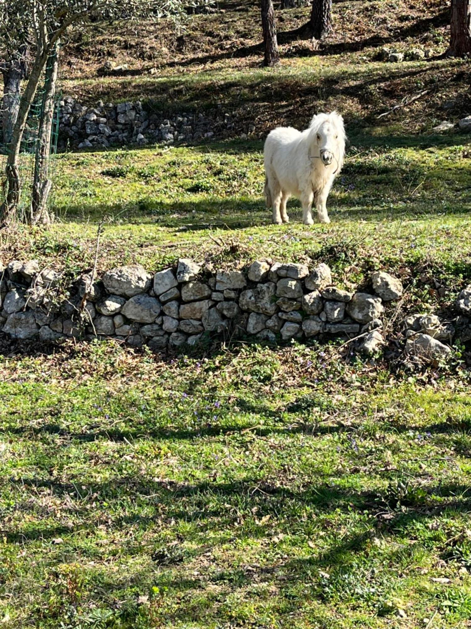 Les Genets Vila Fayence Exterior foto